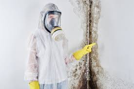 Asbestos and Lead Testing During Mold Inspection in Hudson, CO